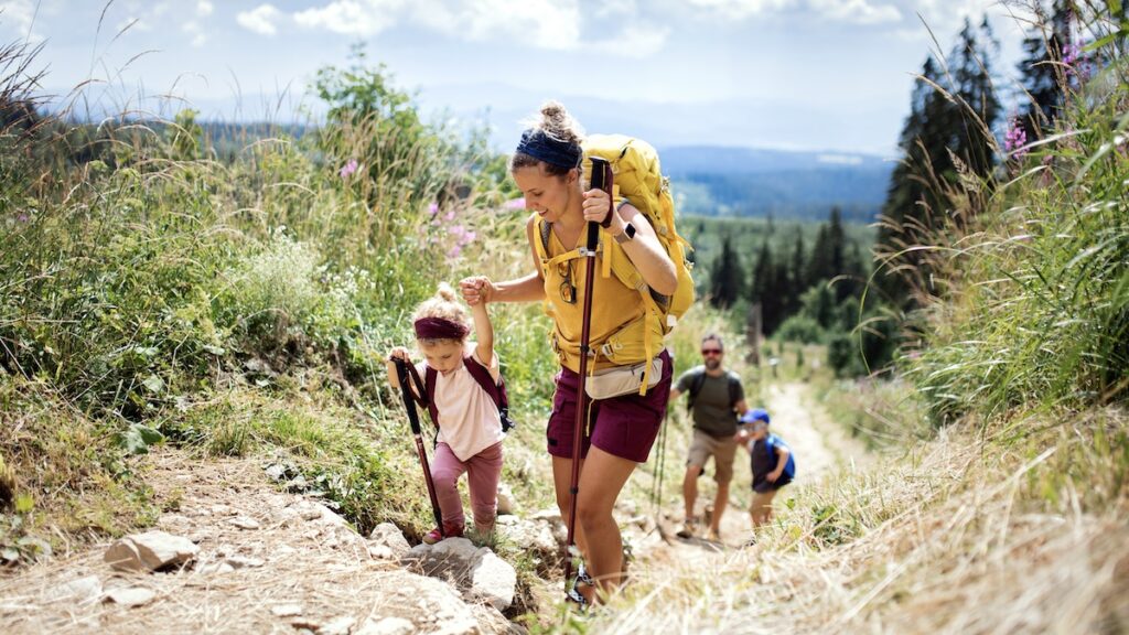 Happy active family with small children hiking outdoors in summer nature